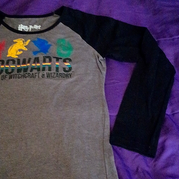 Hogwarts Houses Long Sleeve with 4 mascots/glitter lettering - Picture 4 of 7